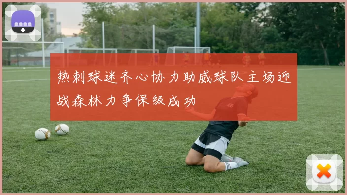 热刺球迷齐心协力助威球队主场迎战森林力争保级成功