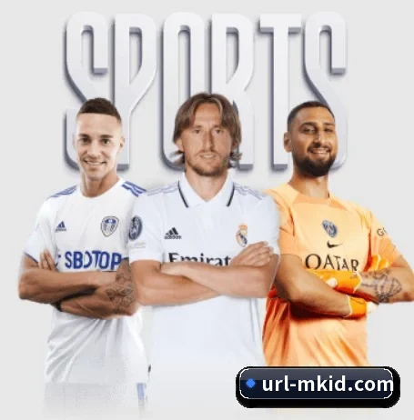 MK体育 APP - MKSPORT